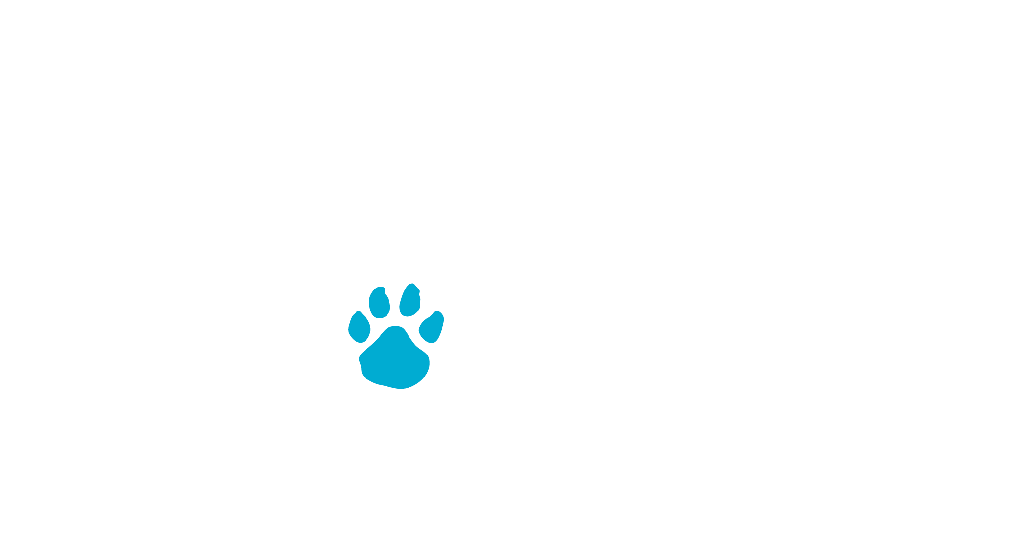 Pawz logo ORIGINAL reverse